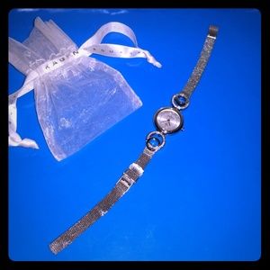 Skagen Stainless Steel Silver Watch